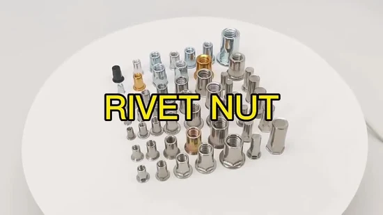 Wholesale Price Carbon Steel Flat Head Blue Zinc Plated M6 Blind Rivet Nutshot Sale Products